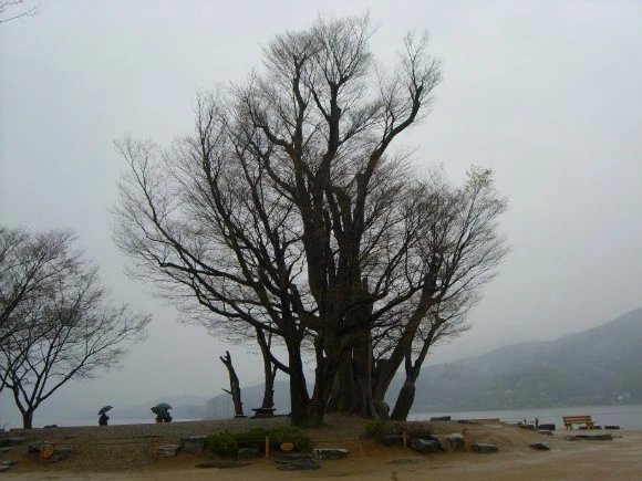 j_70eUd018svcxmvqm7v1ftpn_xpqgg4.jpg?type=e1920_std