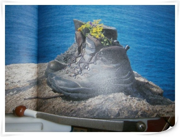 f_hj5Ud018svc1vi2swivkq9pc_xpqgg4.jpg?type=e1920_std