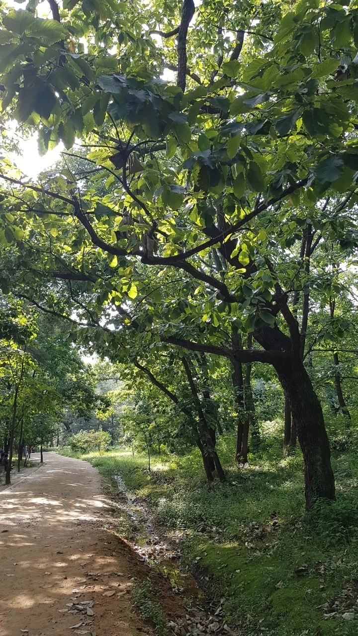 9_329Ud018svc4nvwlrsmdf8s_xpqgg4.jpg?type=e1920_std