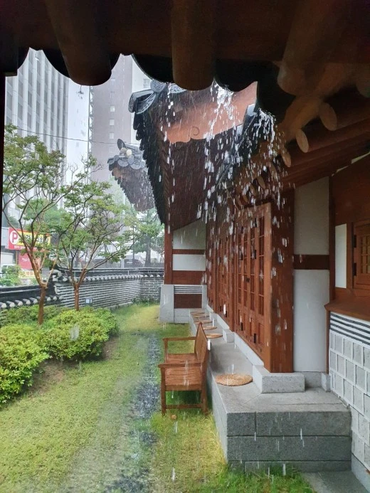 d_d1cUd018svcpqso3m8i8obj_xpqgg4.jpg?type=w520