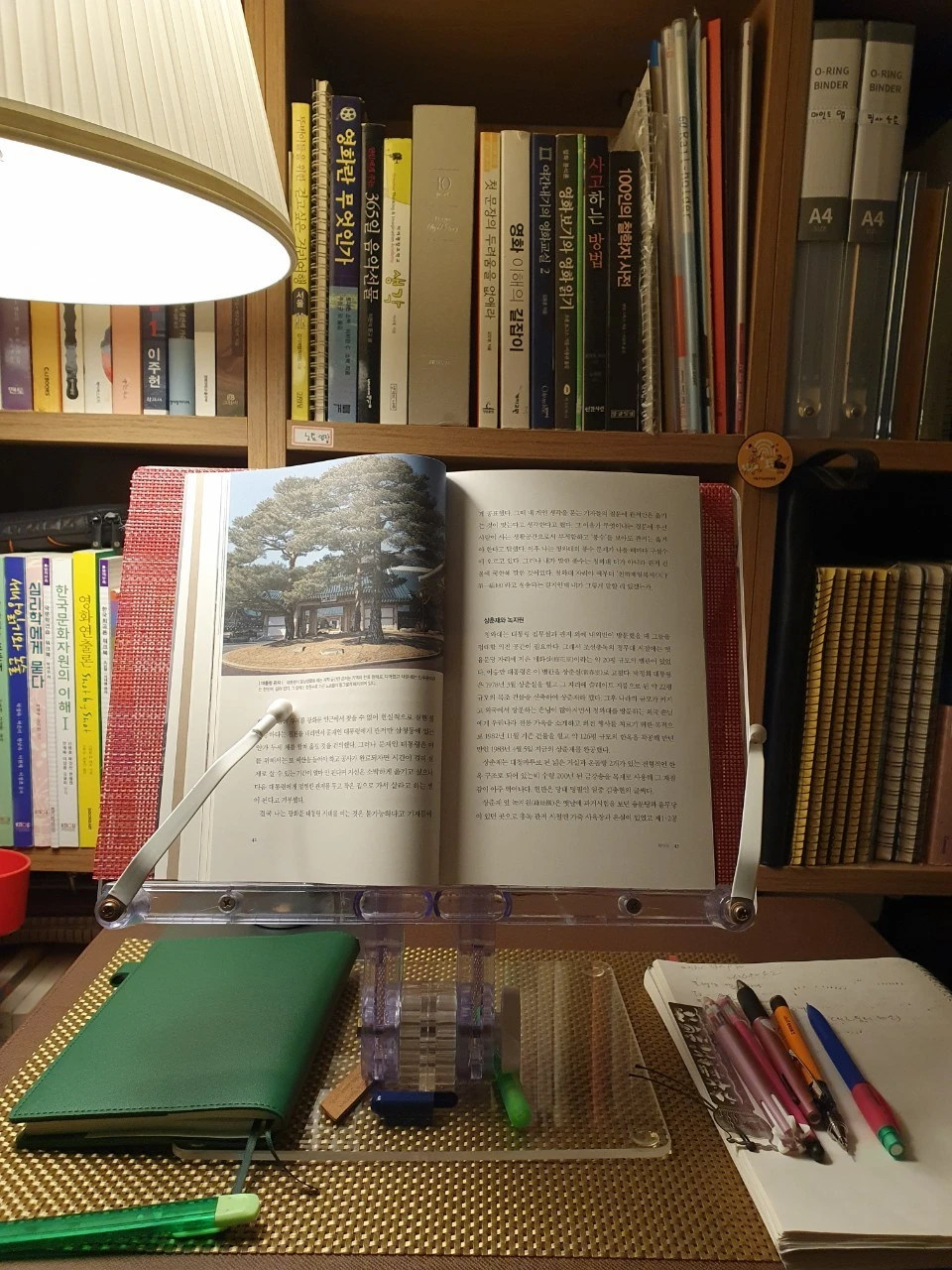 c_4d1Ud018svc1mhss7gwr8imr_xpqgg4.jpg?type=e1920_std