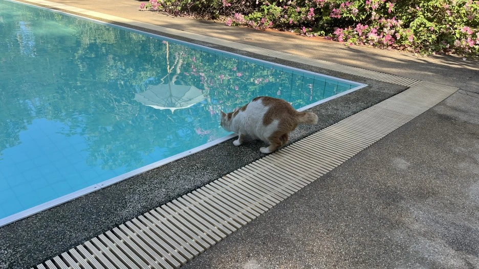 IMG_6494.JPG?type=w1