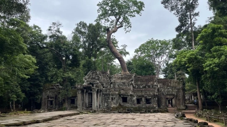 ?src=%22http%3A%2F%2Fpostfiles13.naver.net%2FMjAyNTExMjNfMTAg%2FMDAxNzYzODg2NjI0MzEw.s7KaoAHq-UKag9q9jSG-2rM44PKplHAFYn5pdV7olSYg.O-LTyHW9squQZ3F46onkRp6uFFH7Yta-c_a1czCeqA4g.JPEG%2F%25EC%2595%2599%25EC%25BD%2594%25EB%25A5%25B4.jpeg%3Ftype%3Dw2%22&type=cafe_wa740