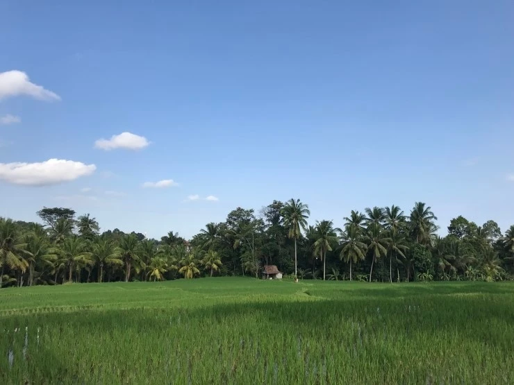 ?src=%22http%3A%2F%2Fpostfiles11.naver.net%2FMjAyNTExMjNfMjEz%2FMDAxNzYzODgyNTMyMjY1.ea7BmvsK2Sjvo8OnpXwiBDO-3OfDZvtNOuWpTbvehSMg.__i7jwYvldMg359psVNl_mKPqF510GVeKr3mP6ElSRsg.JPEG%2F%25EC%259A%25B00%25EB%25B6%2593.jpeg%3Ftype%3Dw2%22&type=cafe_wa740