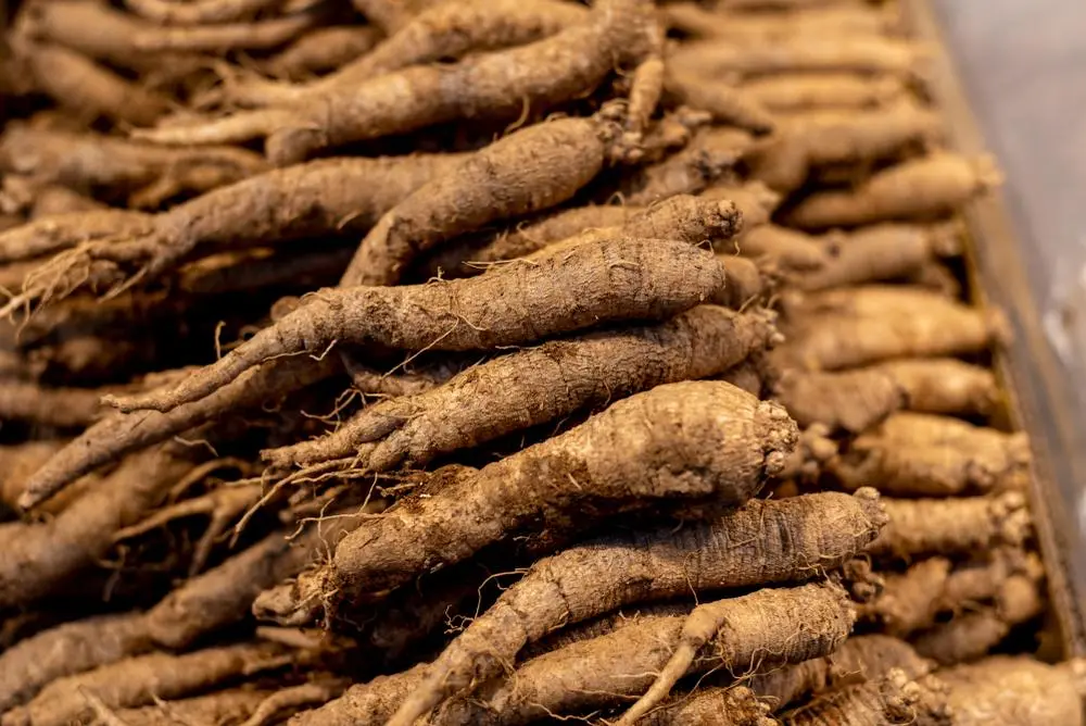 95e93a7ad517436f9e615764e7e295aa