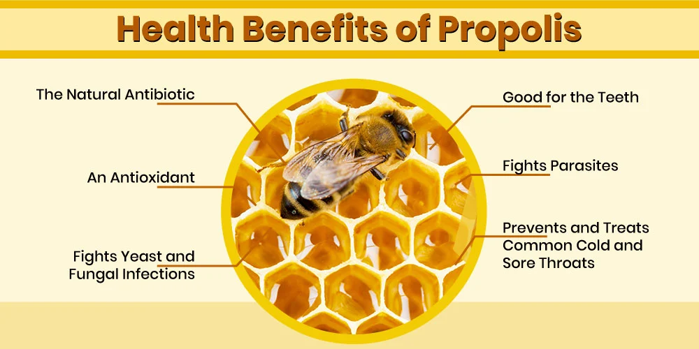 Article-Health-Benefits-of-Propolis.jpg?resize=1000%2C500&ssl=1