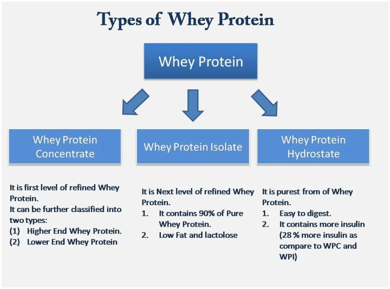 types-of-whey-protein.jpg?type=w800