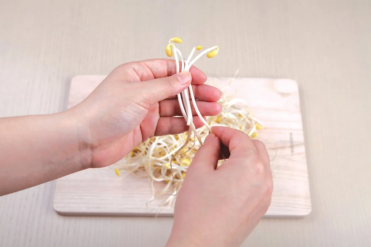 %EC%BD%A9%EB%82%98%EB%AC%BC_%EC%86%90%EC%A7%881.jpg?type=w1200