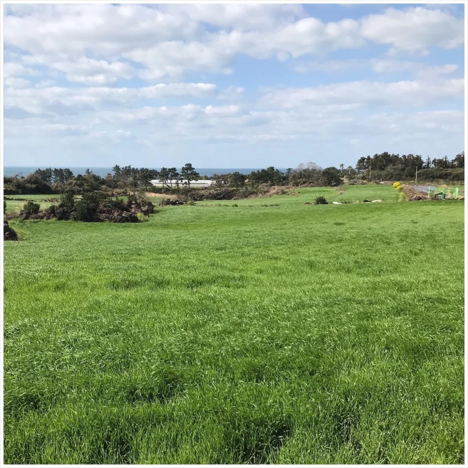 SE-7c5b9db0-0ed8-43c0-9d3e-6cba21d14dc0.jpg?type=w966