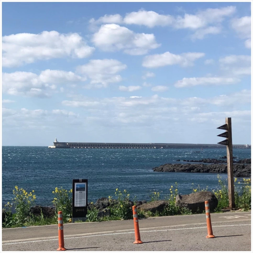 SE-c7112bf7-f4c6-49f9-b15e-654ab0e783b1.jpg?type=w966