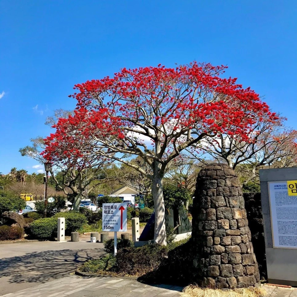 KakaoTalk_20230807_162845325_18.jpg?type=w966