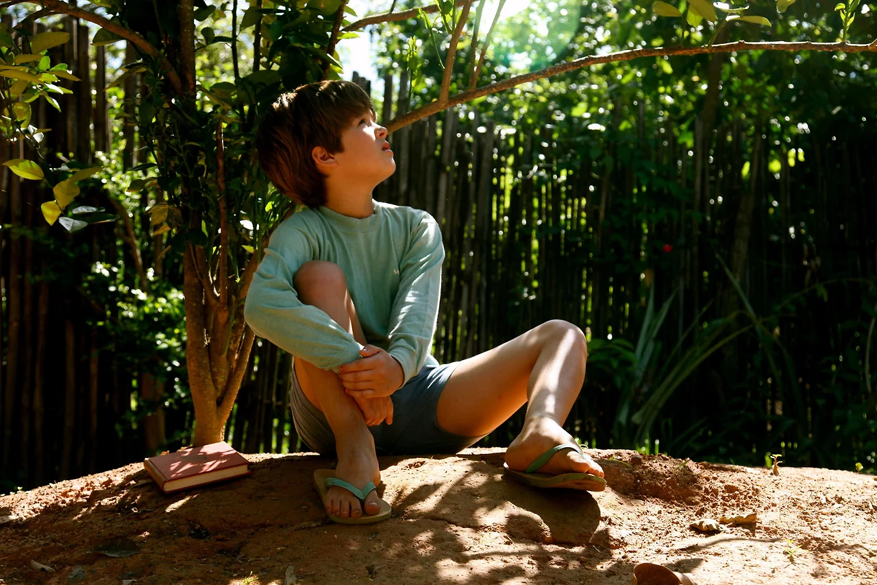 나의 라임 오렌지 나무 11.jfif