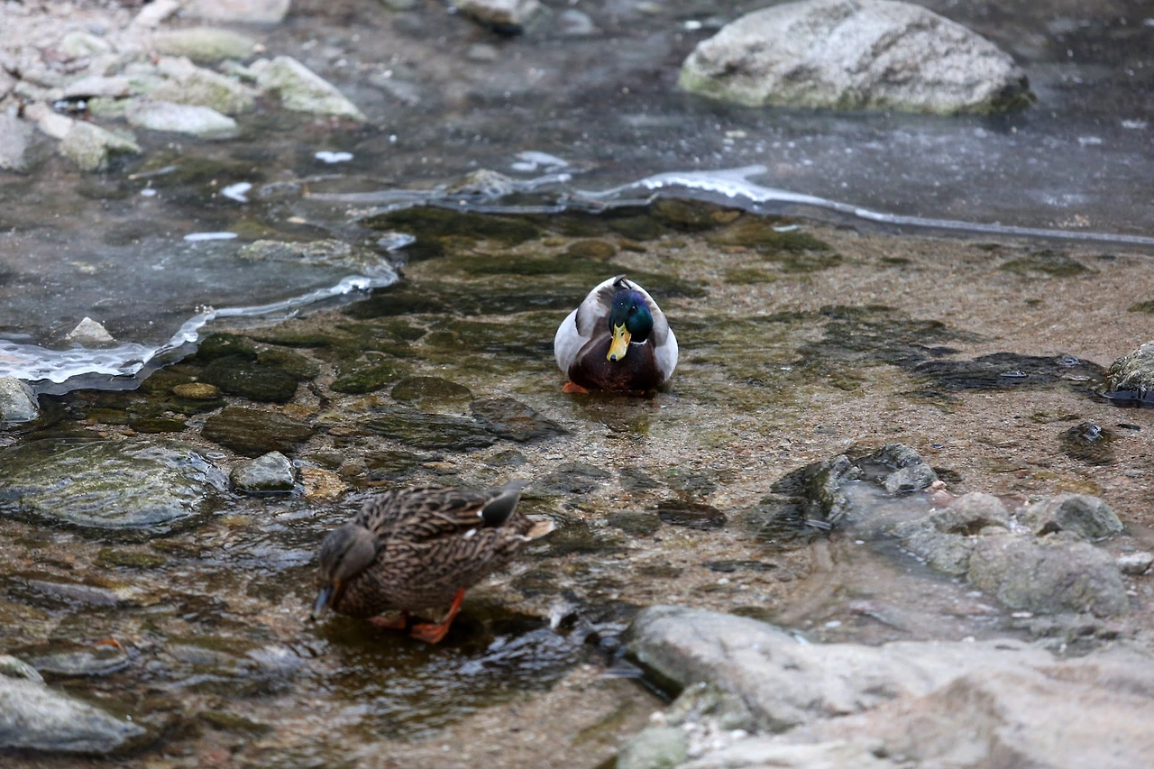 20201219 ROH_1465.JPG