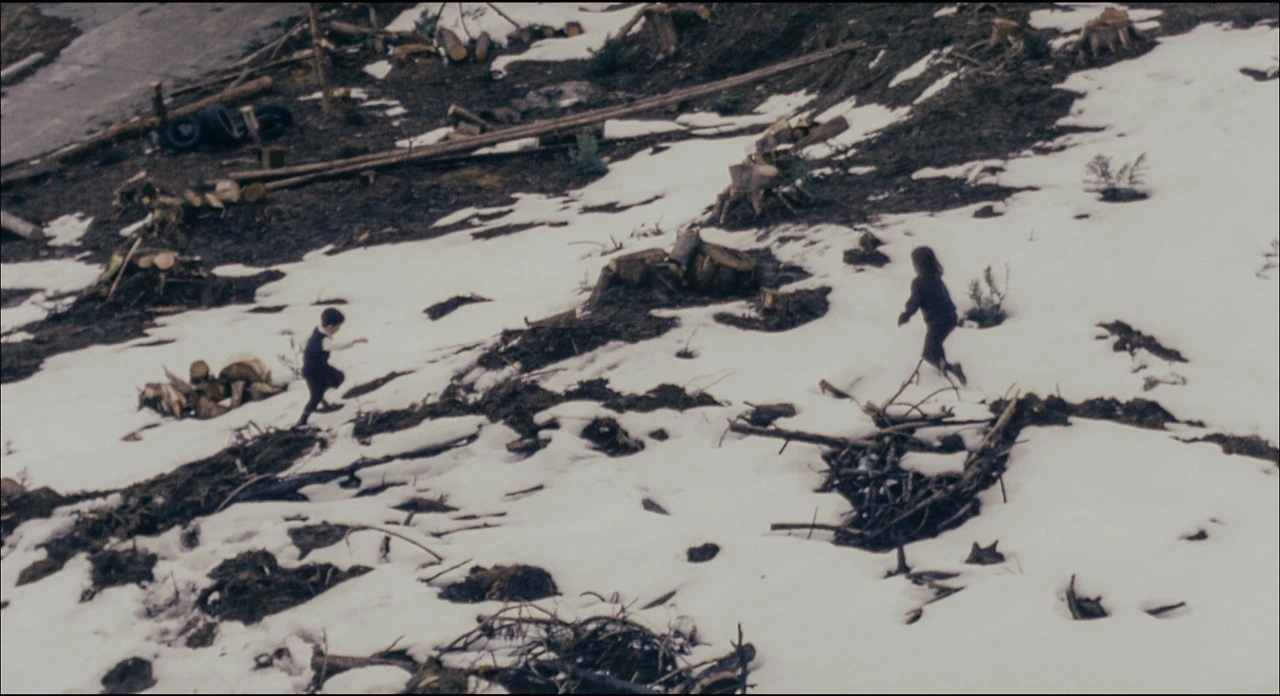 영화 환상의 빛 16.jfif