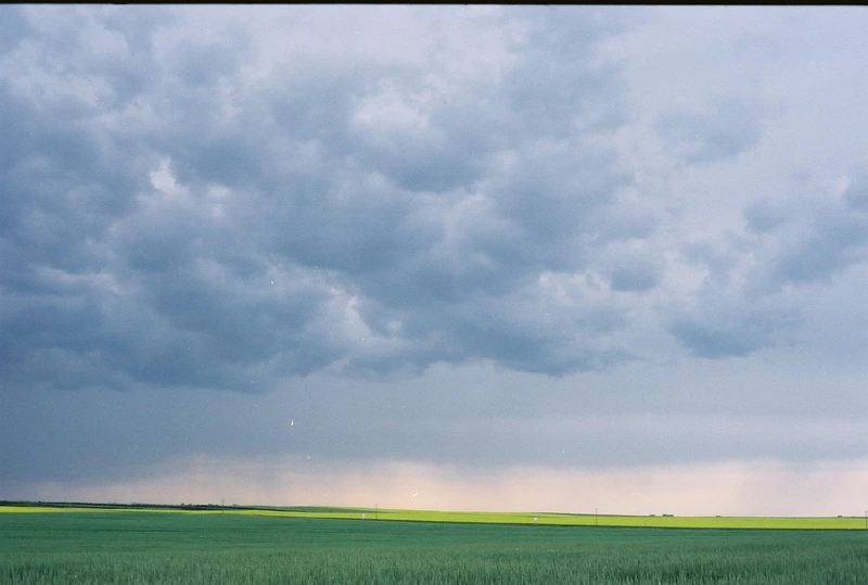 브로크백 마운틴 02.jfif