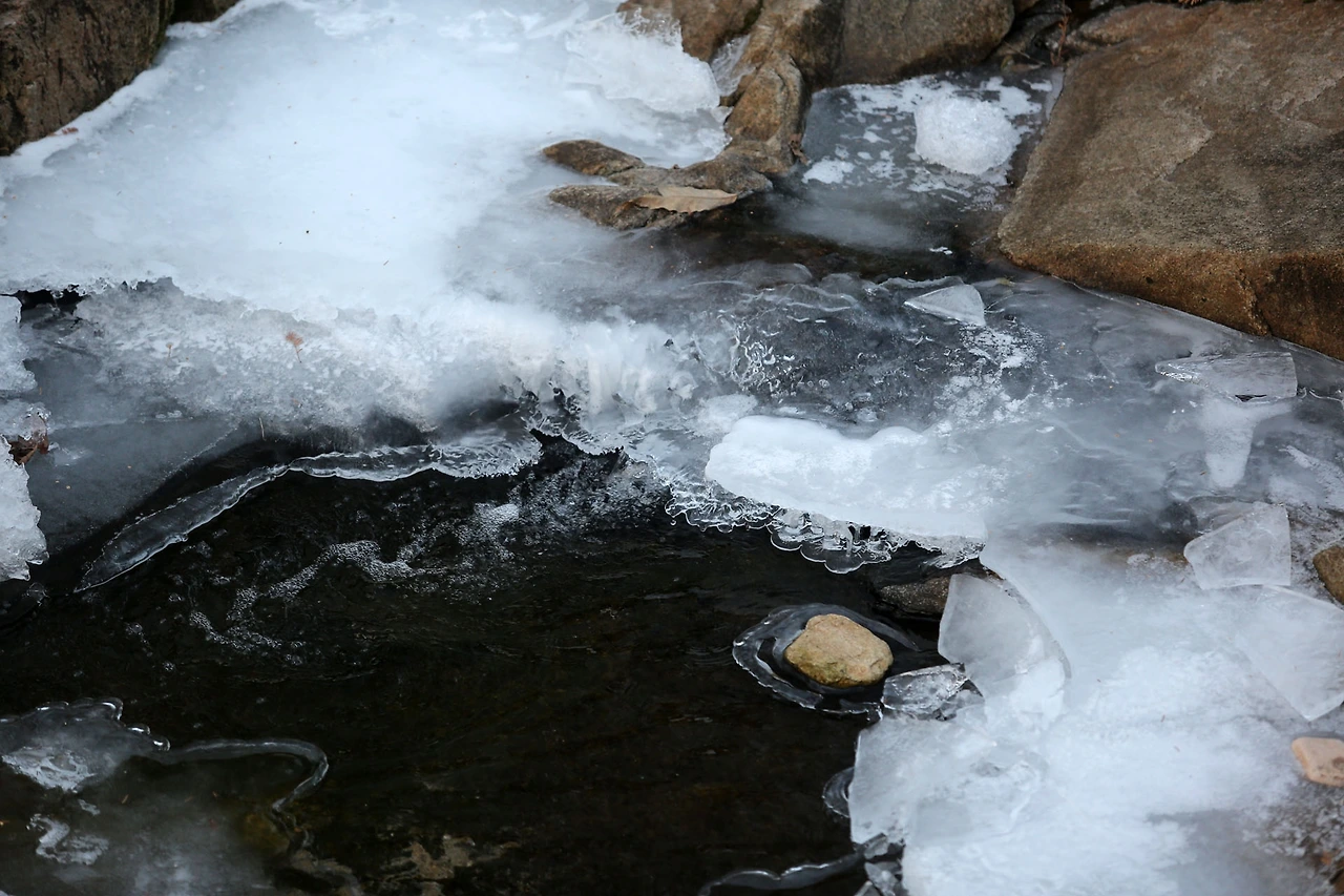 20201219 ROH_1454.JPG