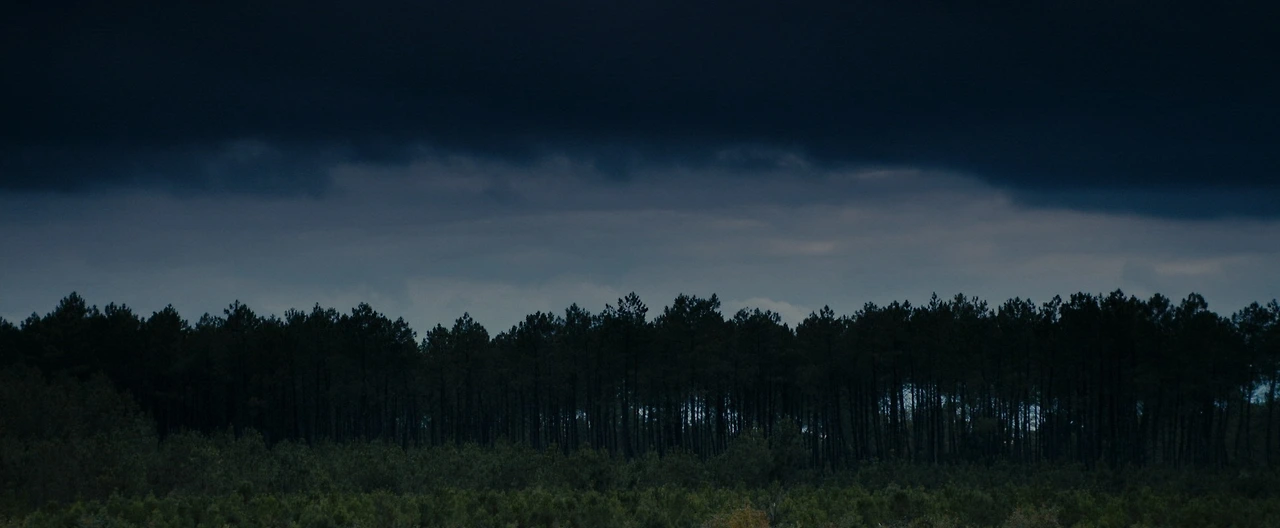 영화 테레즈 데케루 14.jfif