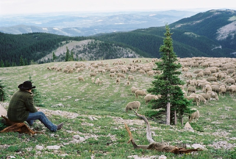 브로크백 마운틴 01.jfif