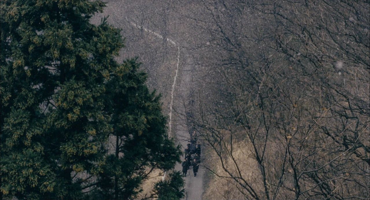 영화 환상의 빛 11.jfif