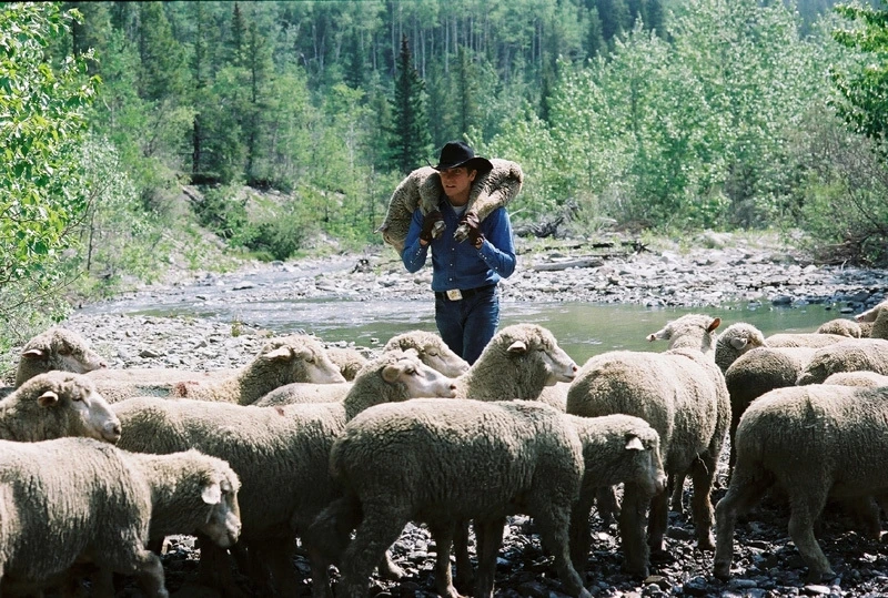 브로크백 마운틴 13.jfif