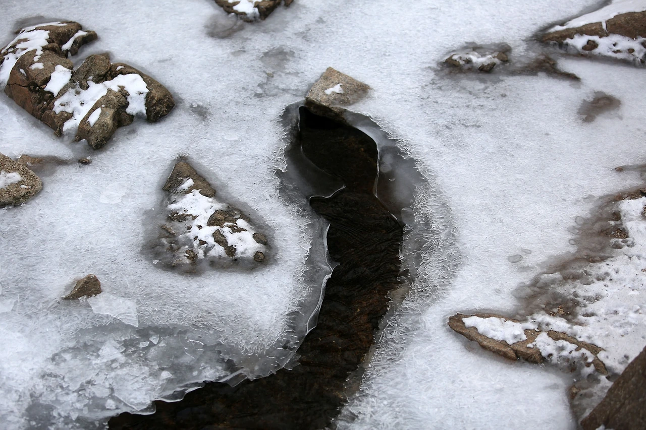 20210110 ROH_4197.JPG