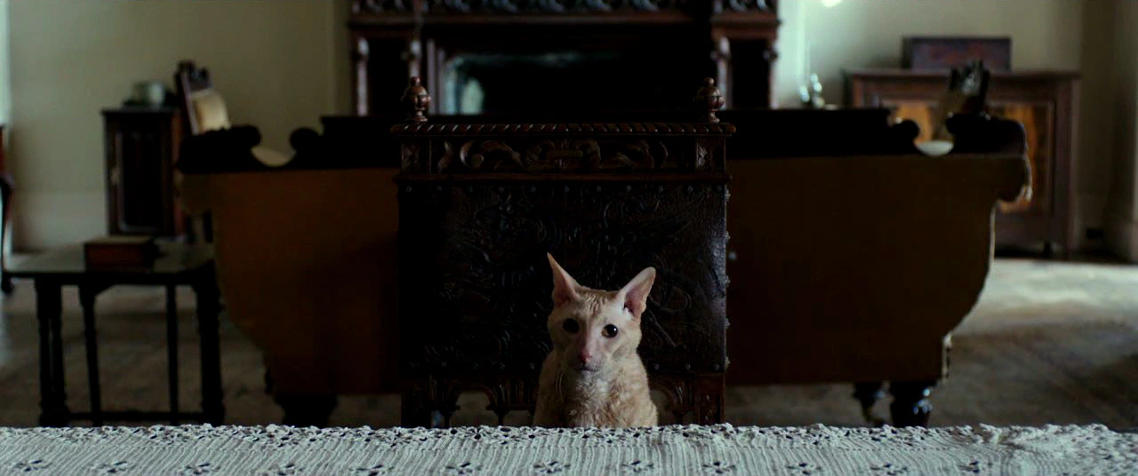 레이디 맥베스 19.jfif