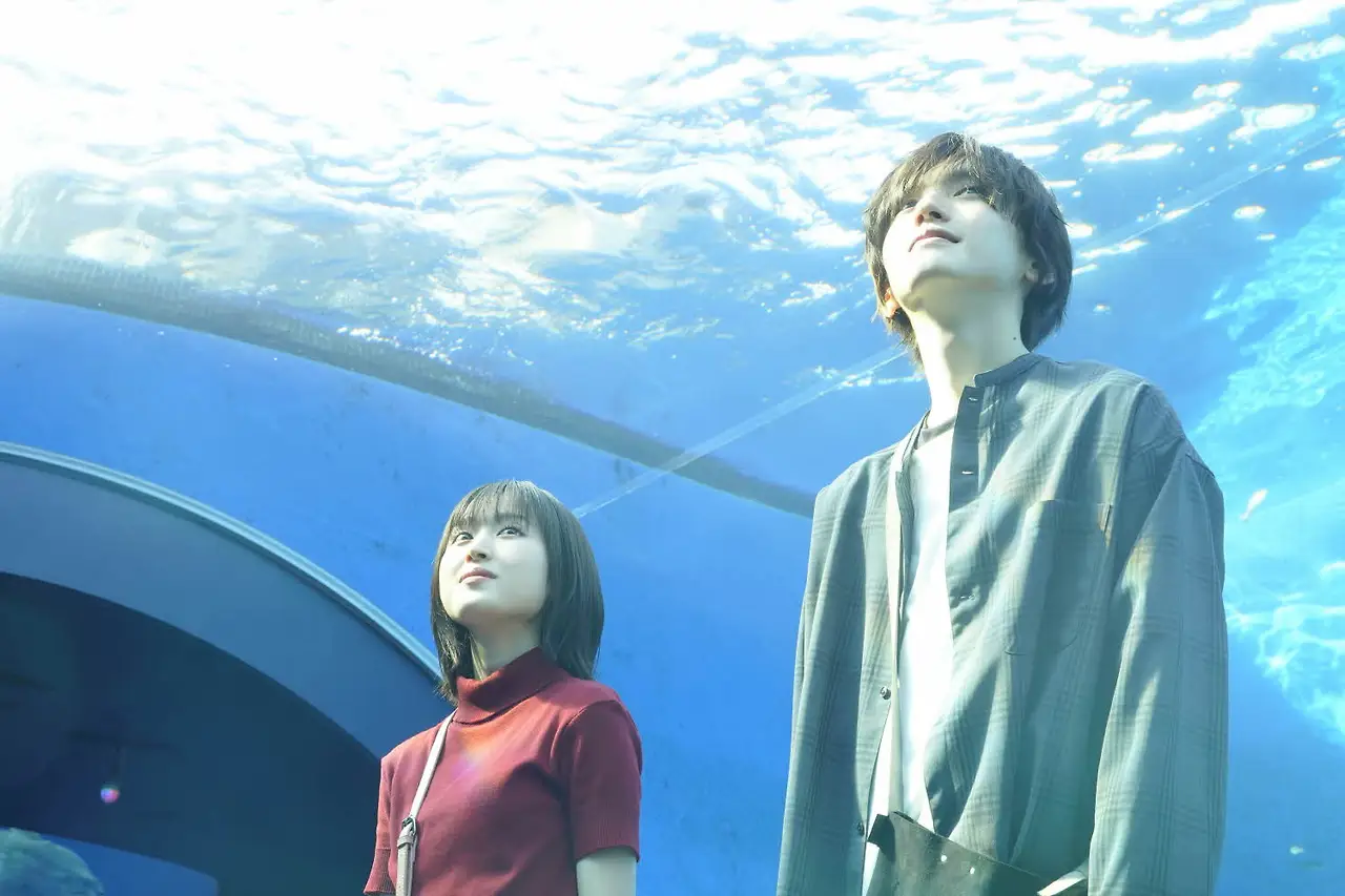 오늘밤, 세계에서 이 사랑이 사라진다해도 14.jfif