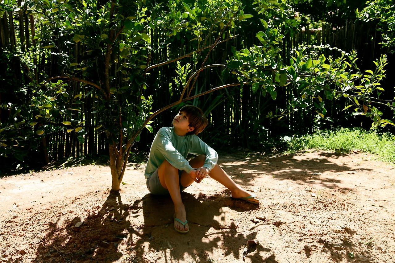 나의 라임 오렌지 나무 02.jfif