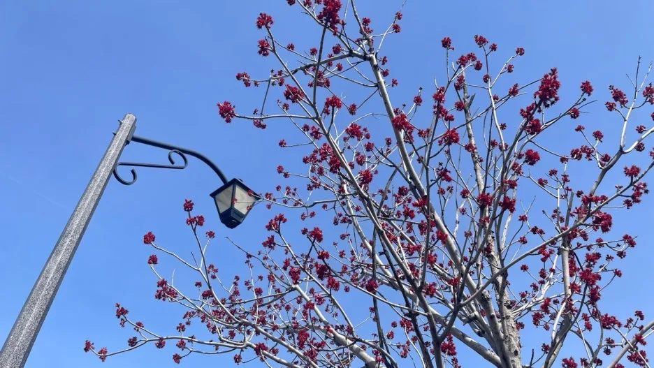 KakaoTalk_20250421_205735268.jpg?type=w1