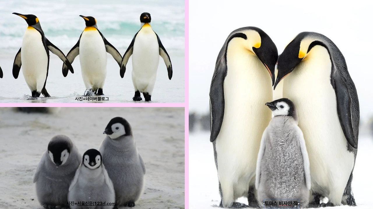 6573d207e6eda.png?imgSeq=10027