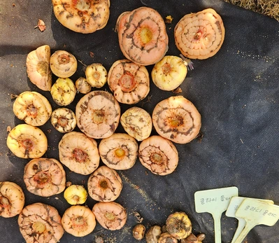 SE-245a2f74-3557-466c-9a89-860fe5f787cc.jpg?type=w773