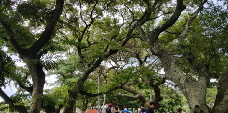 20220724%EF%BC%BF144750.jpg?type=w773