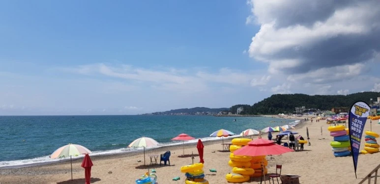 20210802%EF%BC%BF110911.jpg?type=w773