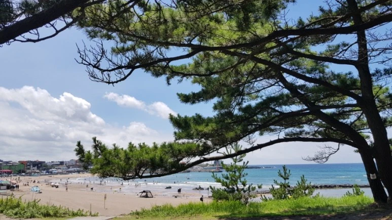 20220724%EF%BC%BF131200.jpg?type=w773