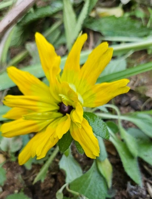 1734600363158-1.jpg?type=w773