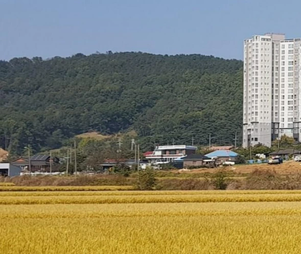 1603366894402.jpg?type=w773