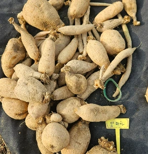 20241120_135931.jpg?type=w773