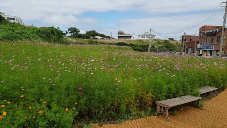 20220724%EF%BC%BF100842.jpg?type=w773