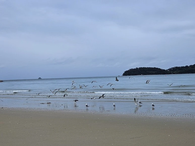 20230707%EF%BC%BF170144.jpg?type=w773