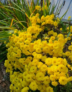 1734600363158-2.jpg?type=w773