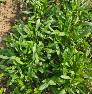 20241120%EF%BC%BF104146.jpg?type=w773