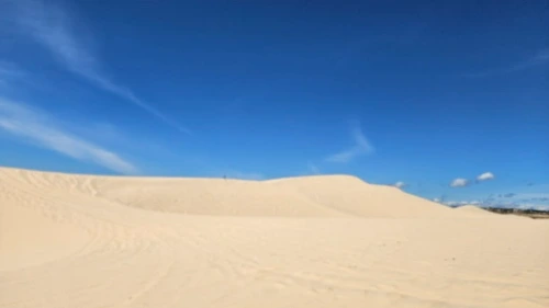 900%EF%BC%BF20241030%EF%BC%BF112231.jpg?type=w773