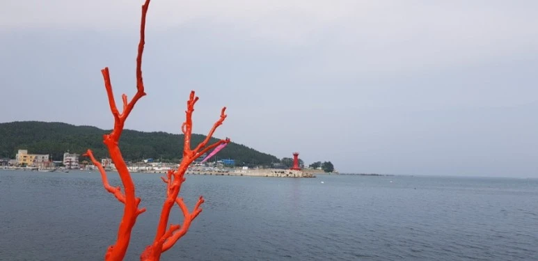 20210801%EF%BC%BF145107.jpg?type=w773