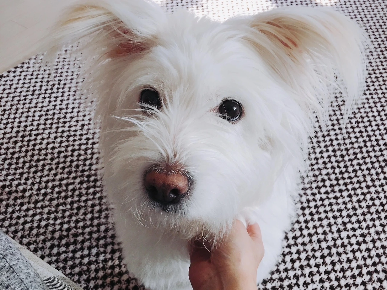 IMG_20240527_090755_190 2.jpeg