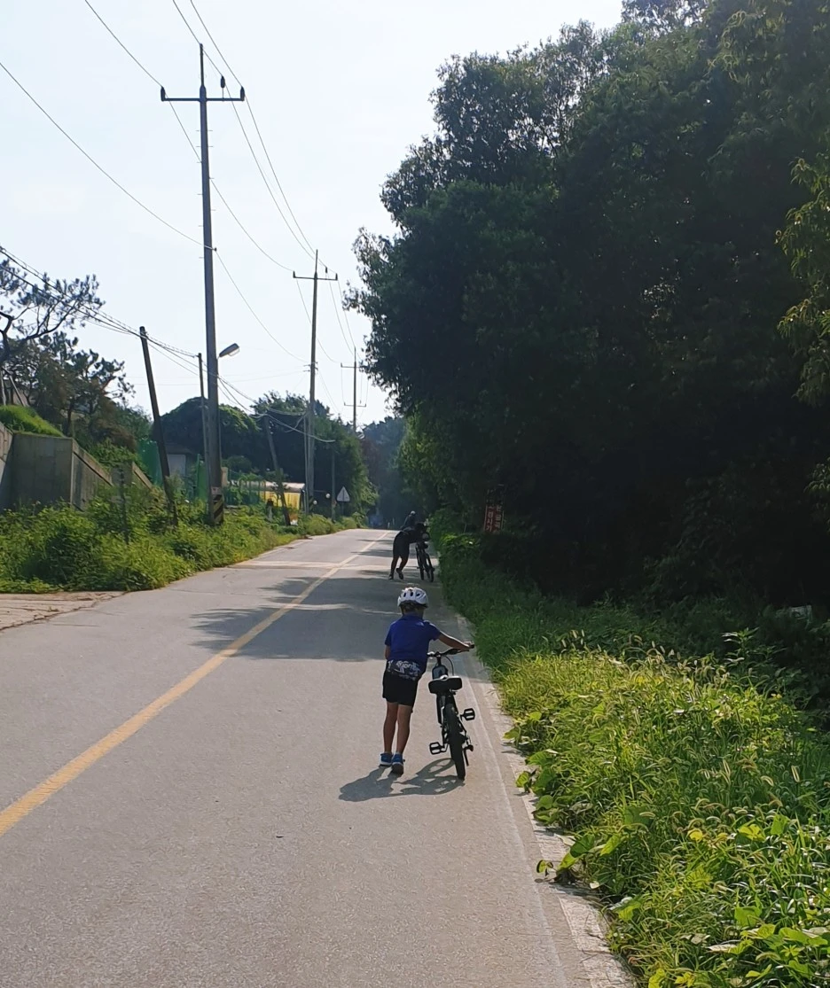 SE-94227f3f-cefd-4017-8af1-5d1c84962df3.jpg?type=w1