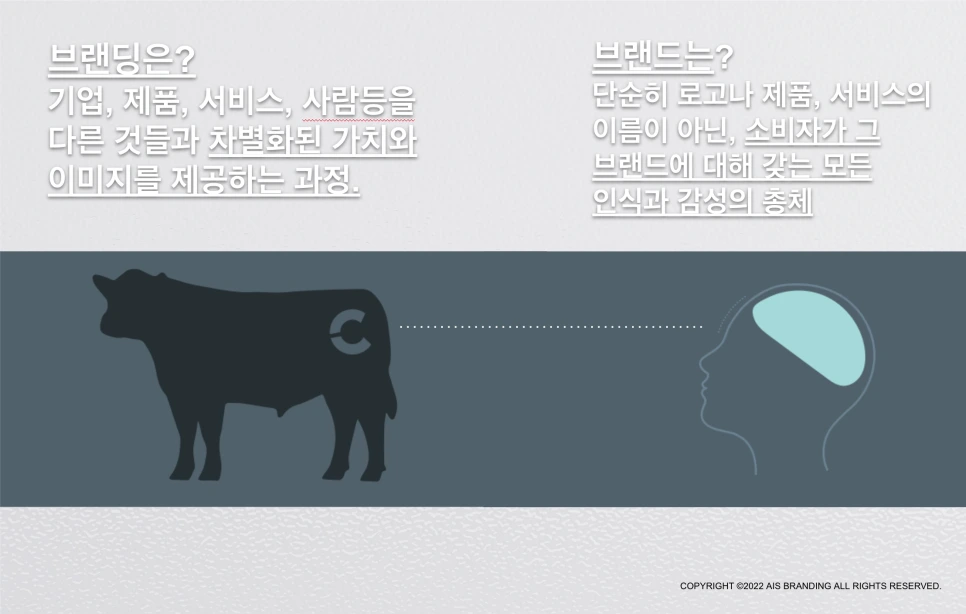 Screen_Shot_2023-11-11_at_6.46.30_AM.png?type=w966