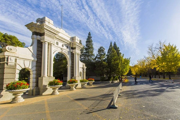 SE-4b49bebb-c8df-48fa-8636-e7374af40141.jpg?type=w1