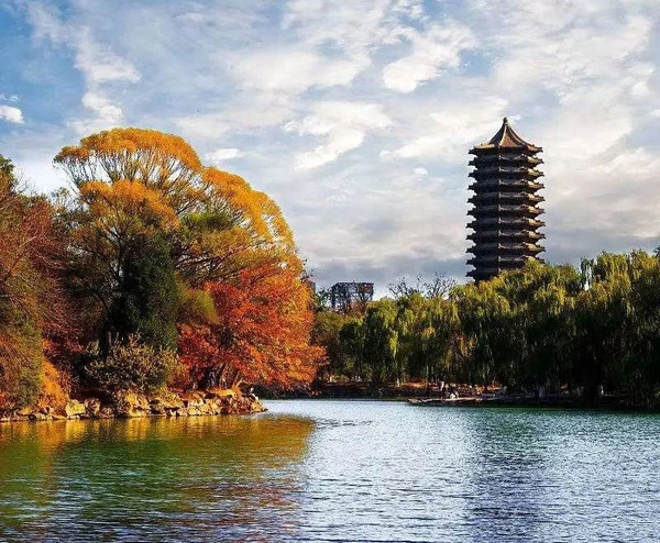 SE-844599bd-e8ef-42ce-ba3a-68e62dbf87a8.jpg?type=w1