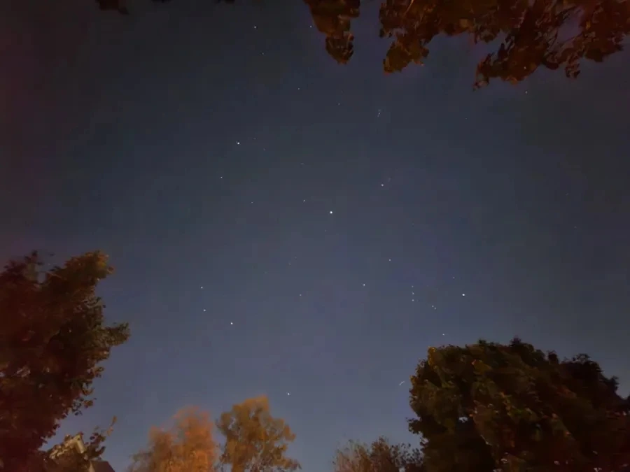 20241016%EF%BC%BF030326.jpg?type=w966