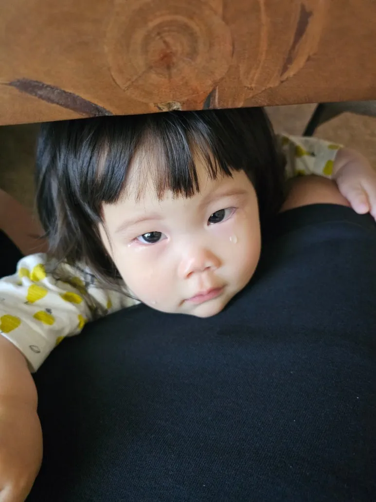 20240605%EF%BC%BF143826.jpg?type=w773